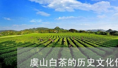 虞山白茶的历史文化价值/2023032806360