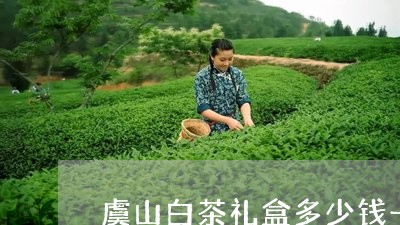 虞山白茶礼盒多少钱一盒/2023032865350