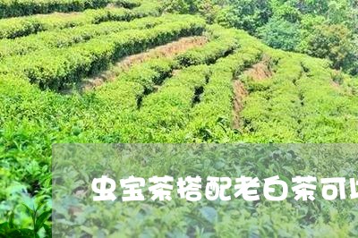 虫宝茶搭配老白茶可以吗/2023032728470