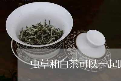 虫草和白茶可以一起喝吗/2023032766259