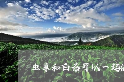 虫草和白茶可以一起泡吗/2023032793847