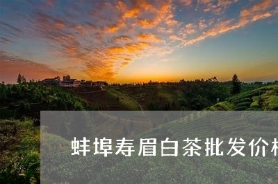 蚌埠寿眉白茶批发价格表/2023032741825