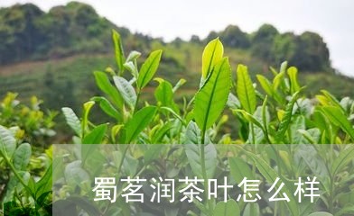 蜀茗润茶叶怎么样/2023032795259