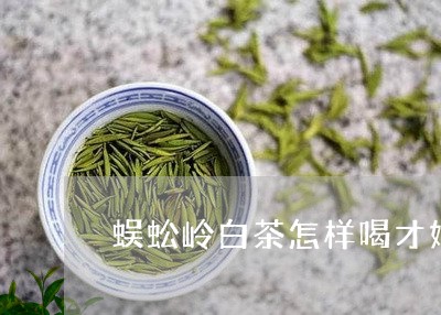 蜈蚣岭白茶怎样喝才好喝/2023032801683