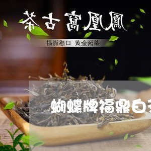 蝴蝶牌福鼎白茶白雪春芽/2023032841503