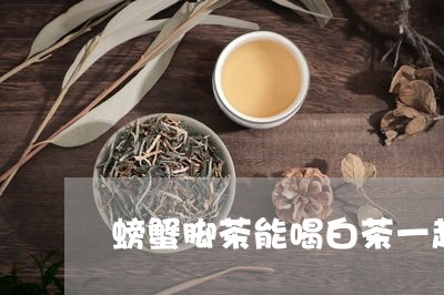 螃蟹脚茶能喝白茶一起泡/2023032891604