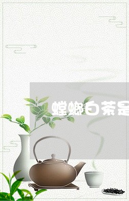 螳螂白茶是什么品种好喝/2023032859382