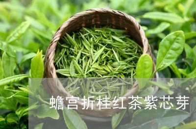 蟾宫折桂红茶紫芯芽/2023031990592