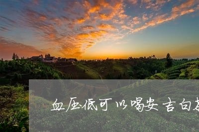 血压低可以喝安吉白茶吗/2023032857260