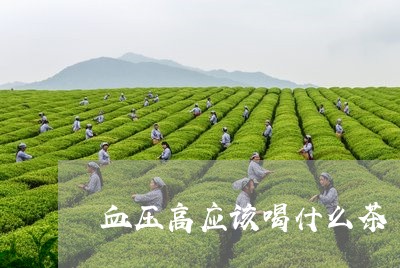 血压高应该喝什么茶/2023032011895