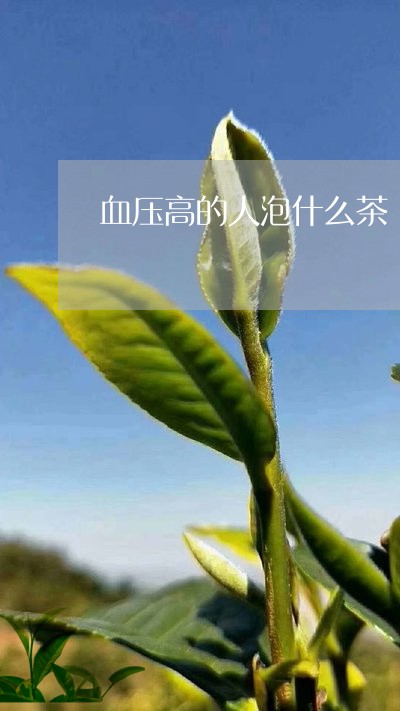 血压高的人泡什么茶/2023041572737