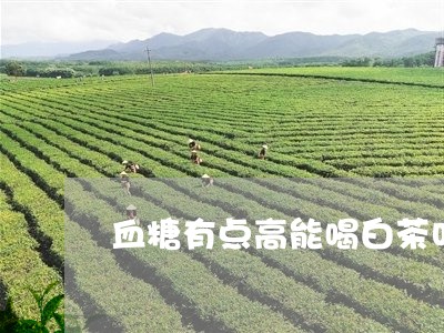 血糖有点高能喝白茶叶吗/2023032824938