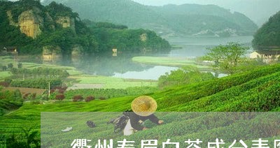 衢州寿眉白茶成分表图片/2023032892726