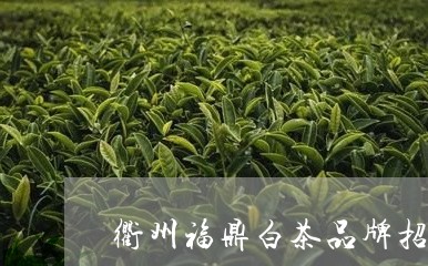 衢州福鼎白茶品牌招商部/2023032853736