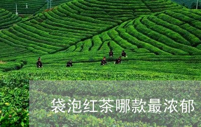 袋泡红茶哪款最浓郁/2023031929363