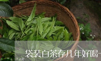 袋装白茶存几年好喝一点/2023032863817