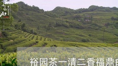 裕园茶一清二香福鼎白茶/2023032814150