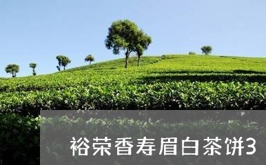 裕荣香寿眉白茶饼300克/2023033181624