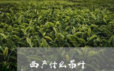 西产什么茶叶/2023032734647