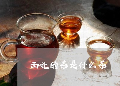 西北的茶是什么茶/2023032438241