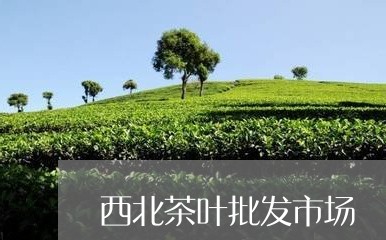 西北茶叶批发市场/2023032605051