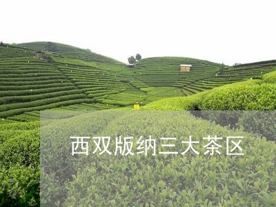 西双版纳三大茶区/2023032533047