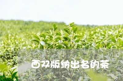 西双版纳出名的茶/2023031875939