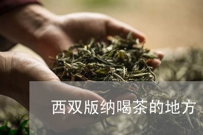 西双版纳喝茶的地方/2023041690505