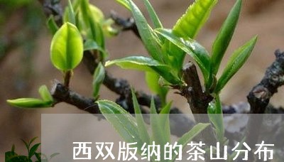 西双版纳的茶山分布/2023041678470