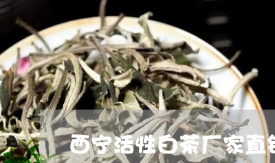 西宁活性白茶厂家直销店/2023032896038