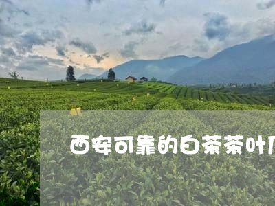 西安可靠的白茶茶叶厂家/2023032837460