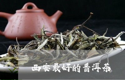 西安最好的普洱茶/2023041255957