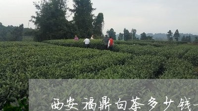 西安福鼎白茶多少钱一箱/2023032835140