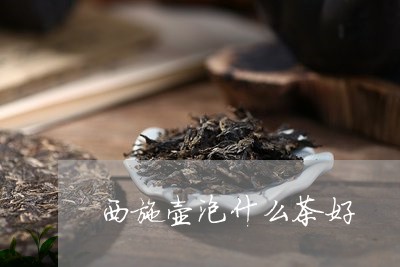 西施壶泡什么茶好/2023032316047