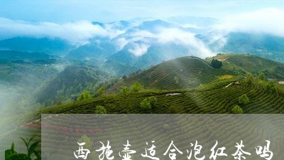 西施壶适合泡红茶吗/2023041448380