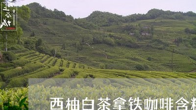 西柚白茶拿铁咖啡含糖吗/2023032859694