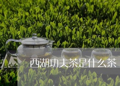 西湖功夫茶是什么茶/2023031986249