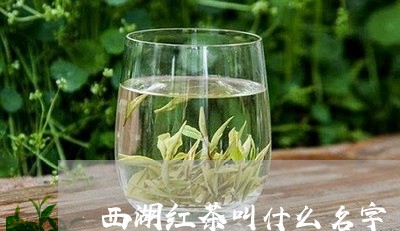 西湖红茶叫什么名字/2023041580736