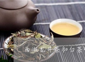 西湖龙井茶和白茶哪个好/2023032815936