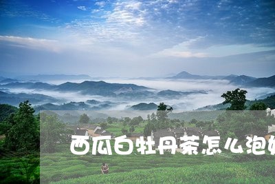 西瓜白牡丹茶怎么泡好喝/2023032814038