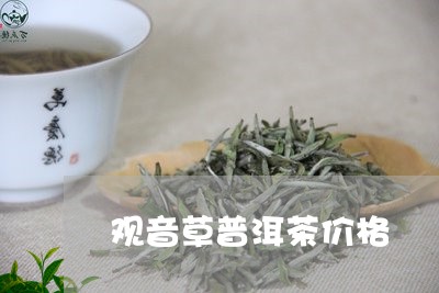 观音草普洱茶价格/2023041345157