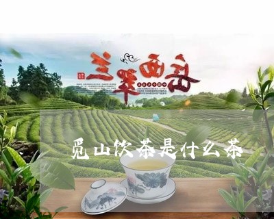 觅山饮茶是什么茶/2023032447958