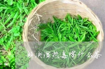 解决湿热毒喝什么茶/2023041586259