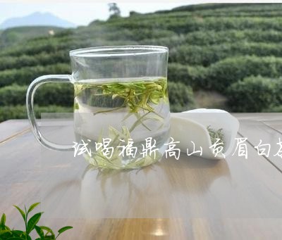 试喝福鼎高山贡眉白茶6包/2023033076270