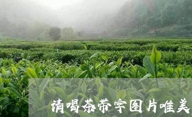 请喝茶带字图片唯美/2023032054714