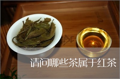 请问哪些茶属于红茶/2023041540503