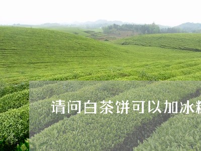 请问白茶饼可以加冰糖吗/2023032810613