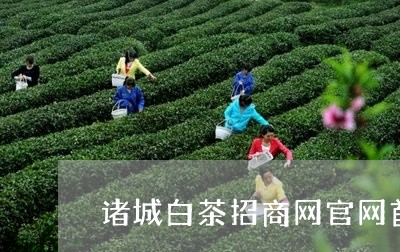 诸城白茶招商网官网首页/2023032835938