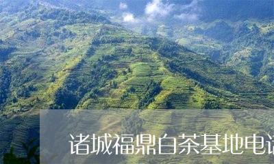 诸城福鼎白茶基地电话号/2023032858261