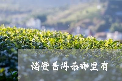 诸暨普洱茶哪里有/2023041073816